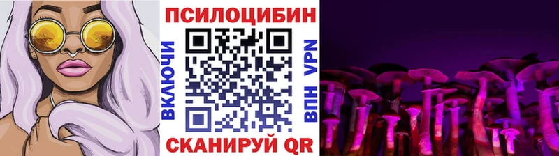 Галлюциногенные грибы Psilocybine cubensis  Морозовск 